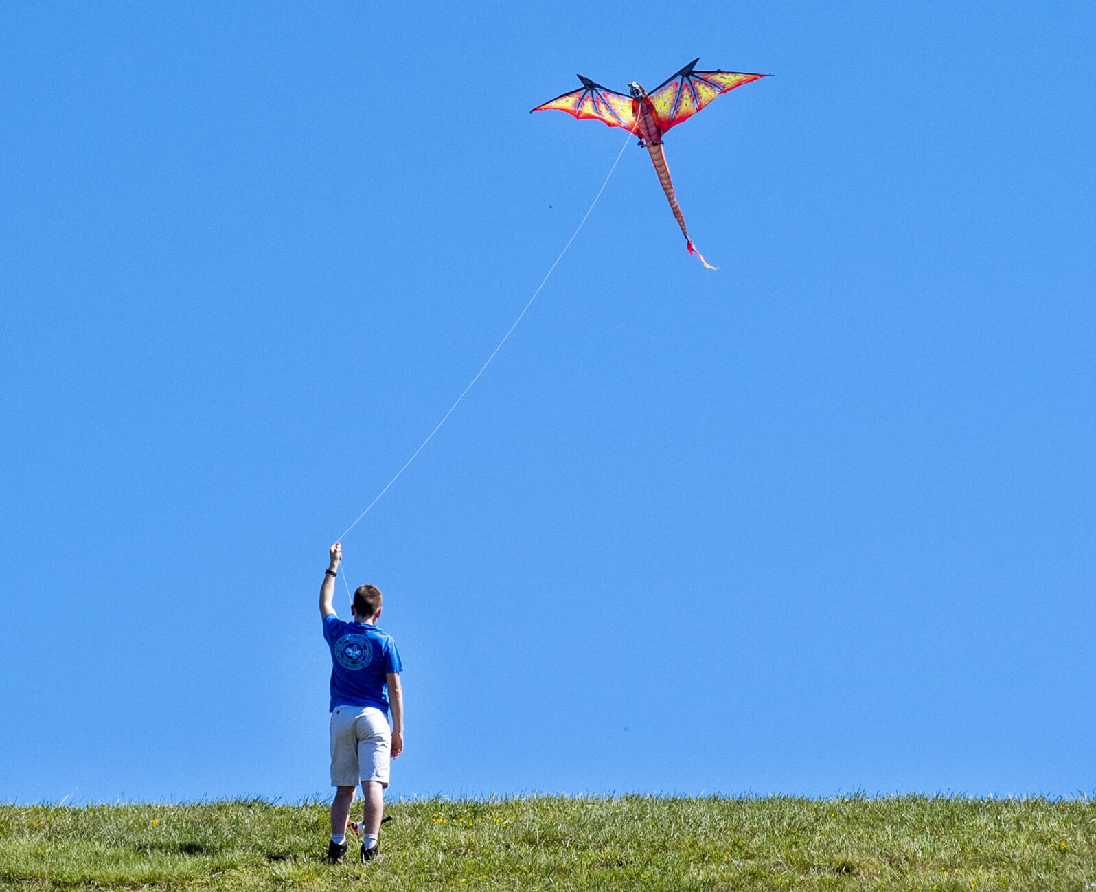 Spring Kite Flying